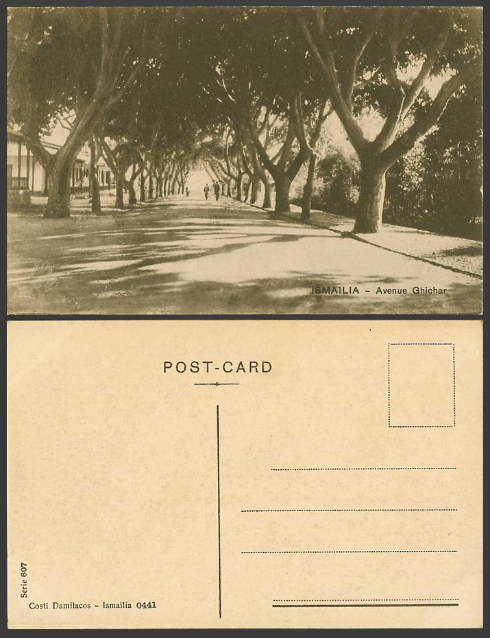 Egypt Old Postcard Ismailia Ghichar Avenue Tree-Lined Street Costi Damilacos 607