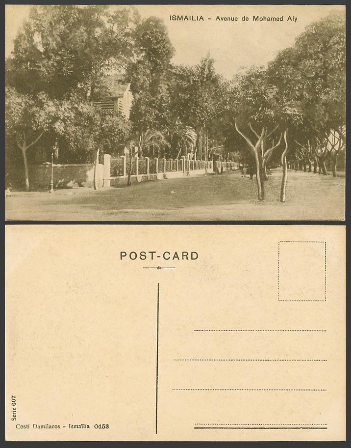 Egypt Old Postcard Ismailia Avenue de Mohamed Aly Tree-Lined Street Scene No.607