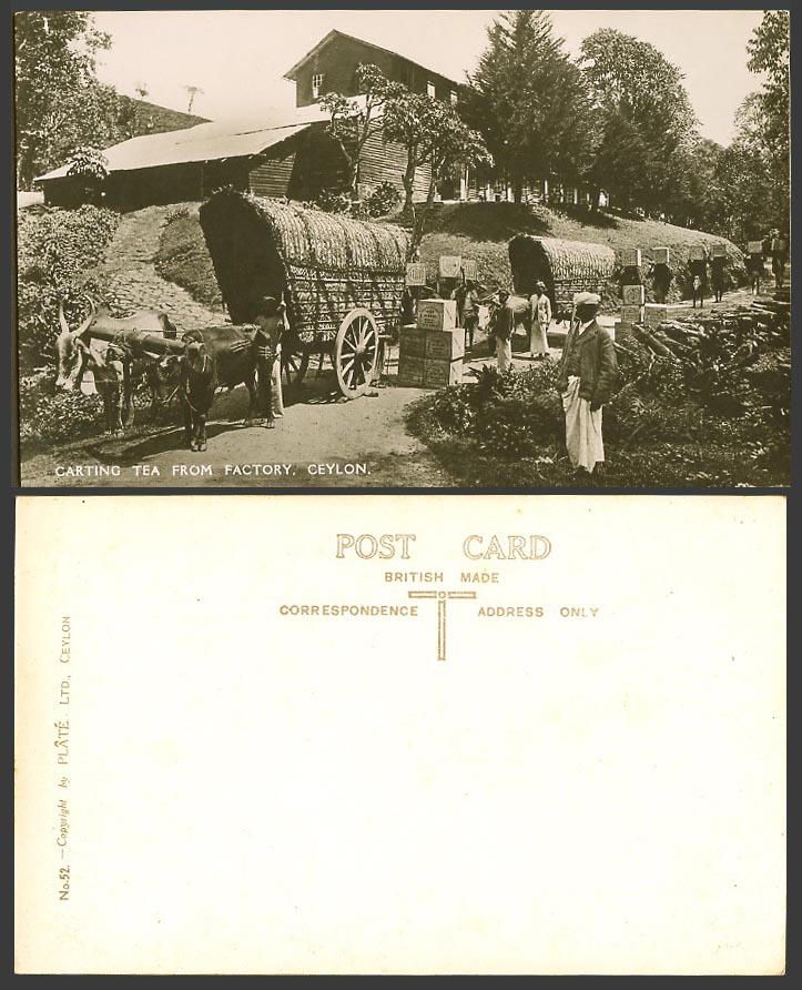 Ceylon Old Real Photo Postcard CARTING TEA from FACTORY Double Bullock Carts Ox
