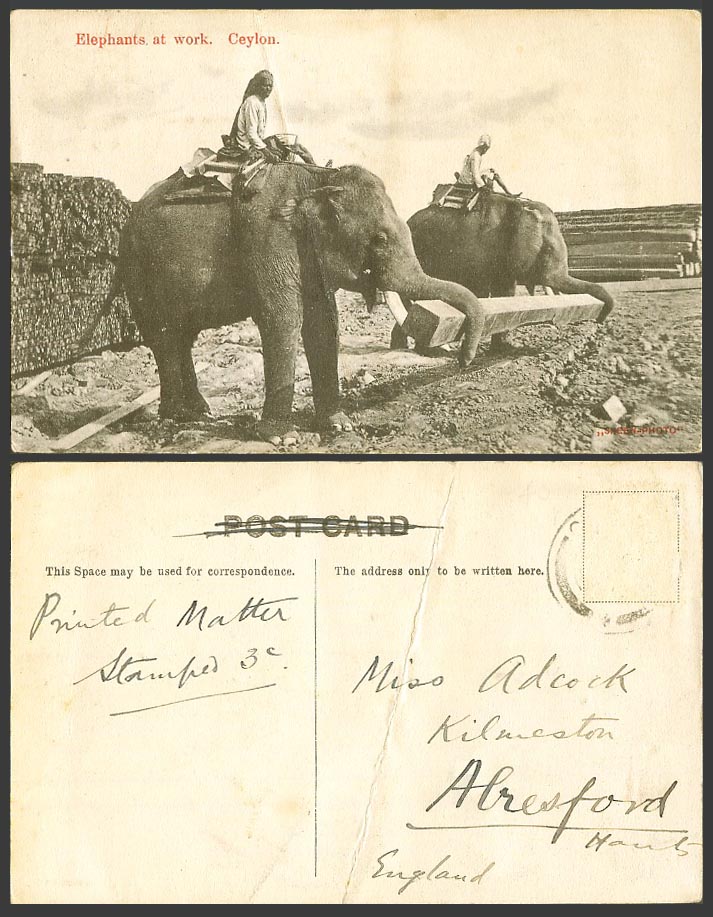 Ceylon Old Postcard Elephants at Work Carrying Timbers, 2 Native Elephant Riders