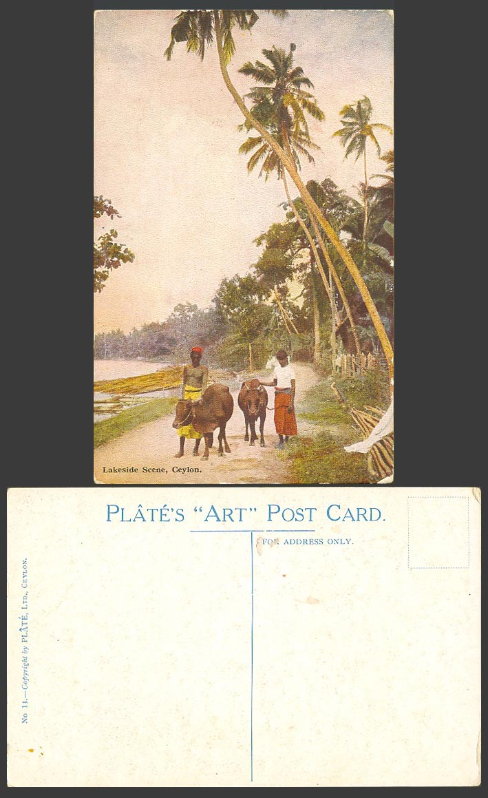 Ceylon Old Postcard Lakeside Scene, Natives & Cattle Palm Trees Lake Plate's ART