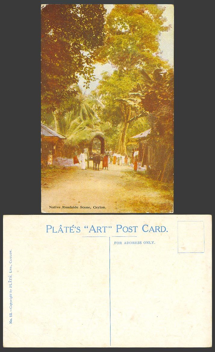 Ceylon Old Postcard Native Roadside Scene Village Street Cattle Cart Plate's ART