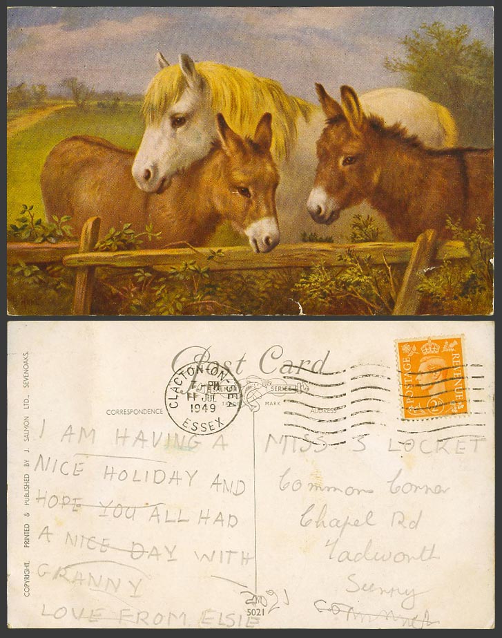 E. Hunt Artist Signed 1949 Old Postcard Donkey Donkeys Horse Pony J. Salmon 5021