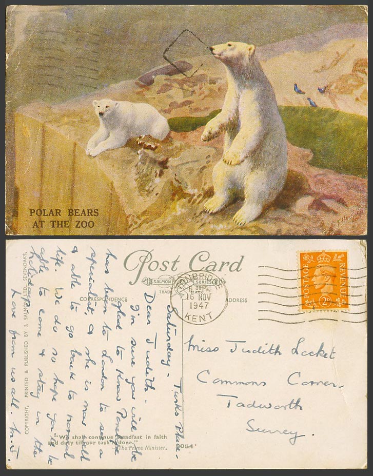 Polar Bears at The Zoo Animals Zoological Gardens, C.T. Howard 1947 Old Postcard