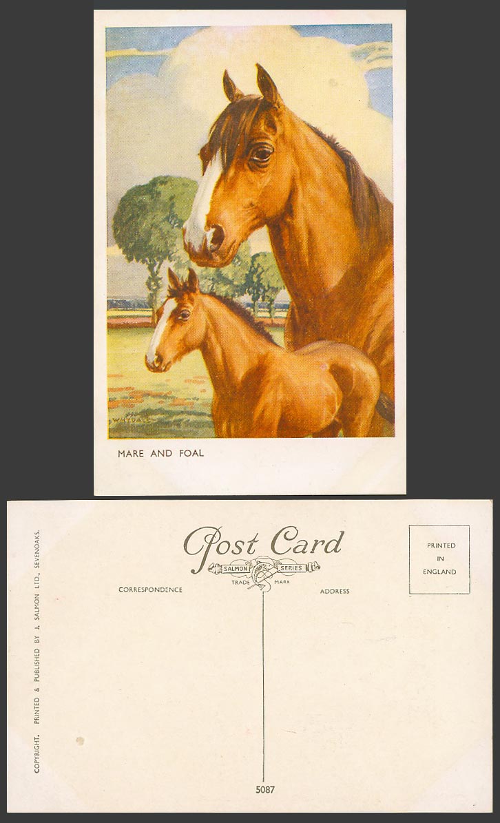 Horses Horse and Pony - Mare and Foal, Whydale Artist Signed Old Postcard Ponies