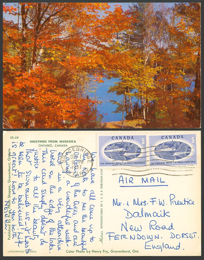 Canada 5c x2 1967 Old Postcard Greetings from Muskoka Ontario Maples Maple Trees
