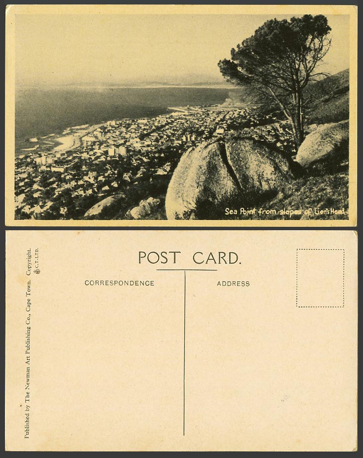 South Africa Old Postcard Sea Point from Slopes of Lion's Head, Rocks, Panorama