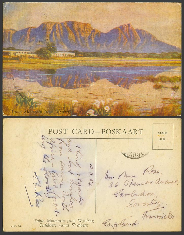 South Africa Old Colour Postcard Table Mountain from Wynberg - Arum Lily Flowers
