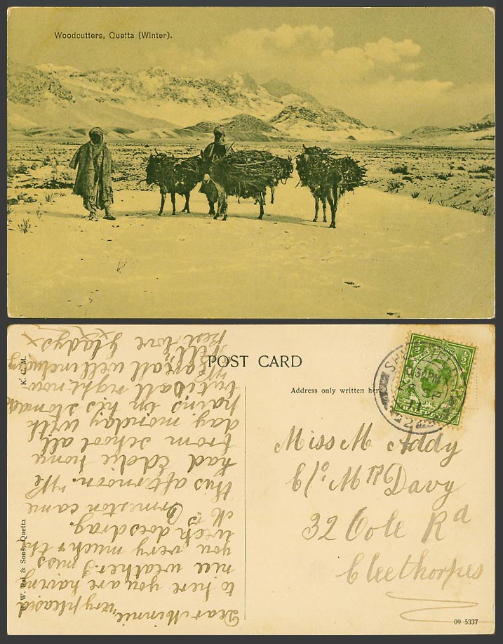 Pakistan 1911 Old Postcard Woodcutters Quetta Winter, Native Wood Cutters Donkey