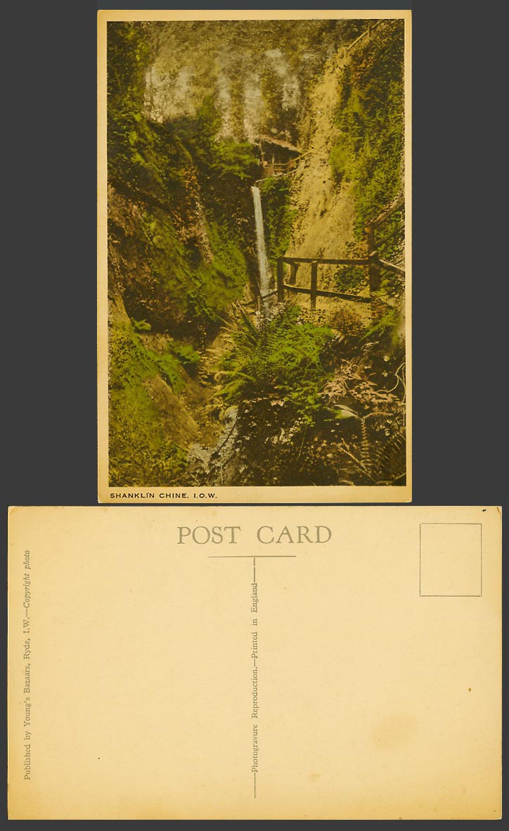 Isle of Wight Old Colour Postcard Shanklin Chine I.O.W. Waterfall Water Fall
