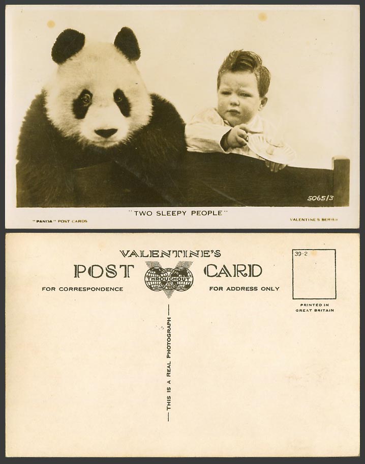 Giant Panda Two Sleepy People Child China Chinese Animal Old Real Photo Postcard