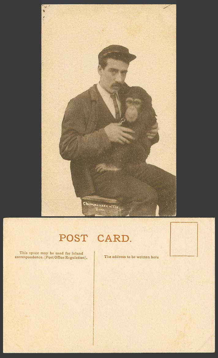 Chimpanzee at The Zoo Zoological Gardens Zookeeper holding a Monkey Old Postcard
