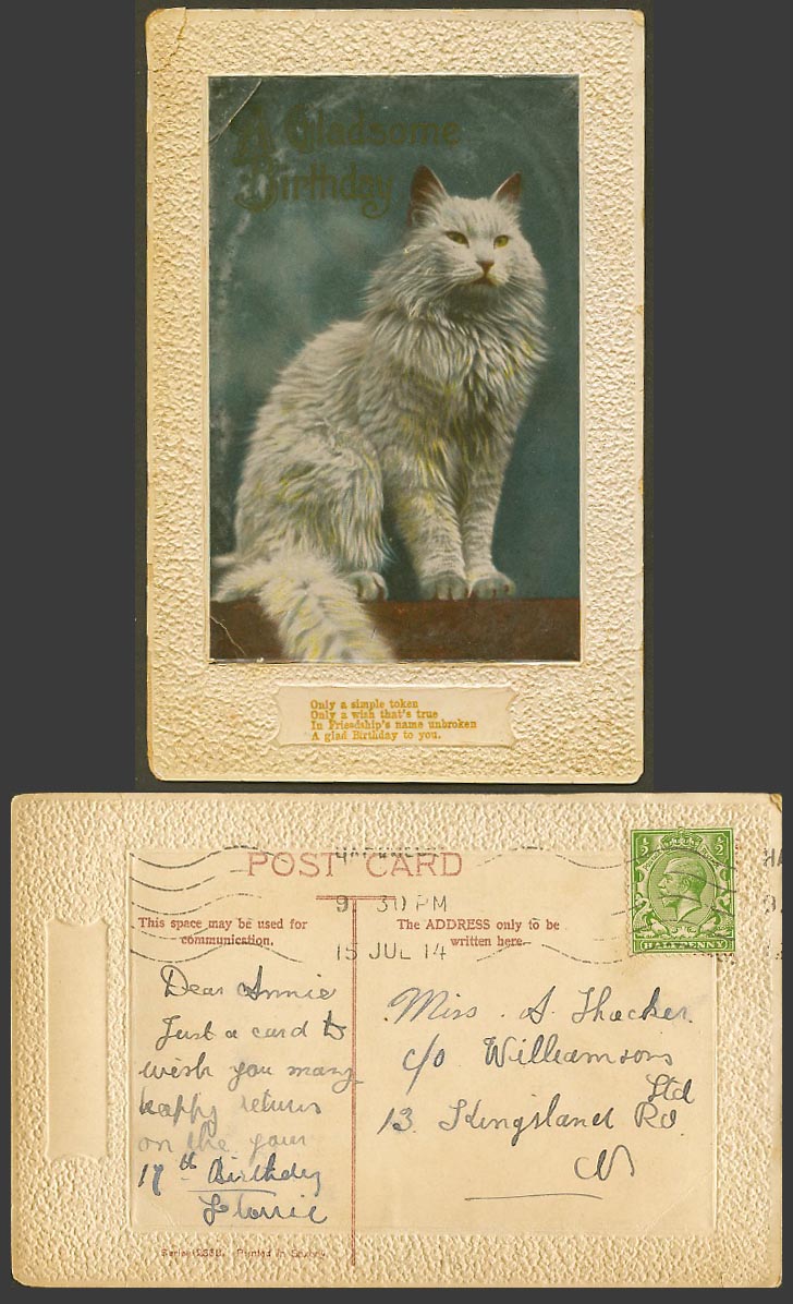 A Persian Cat Kitten 1914 Old Postcard A Gladsome Birthday Greetings -Pet Animal