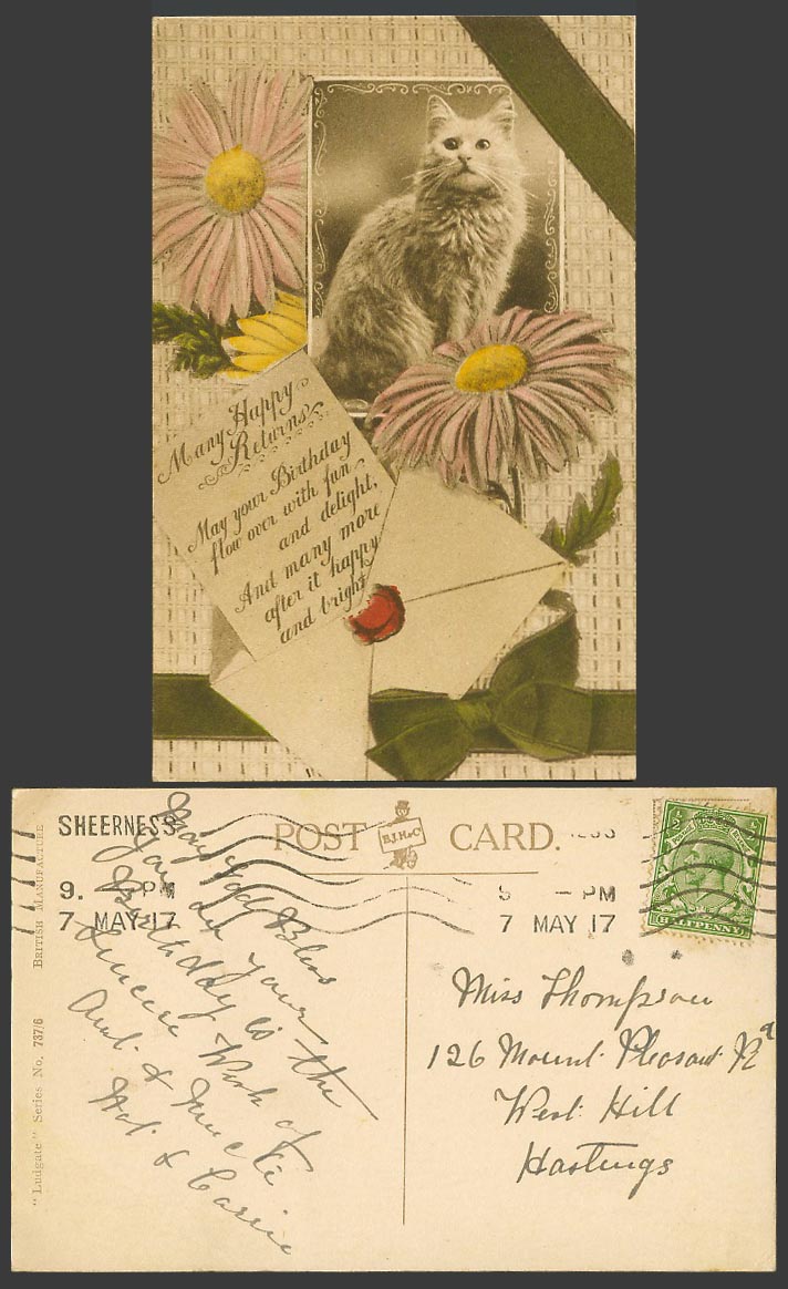 Cat Kitten 1917 Old Postcard Many Happy Returns Letter Envelope Wax Seal Flowers