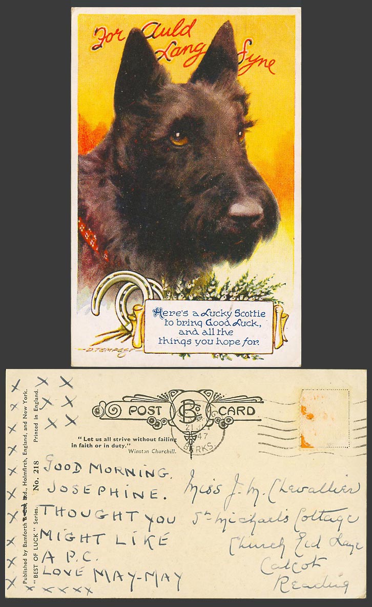 D. Tempest 1947 Old Postcard Scottish Terrier Scottie Dog Pet For Auld Lang Syne