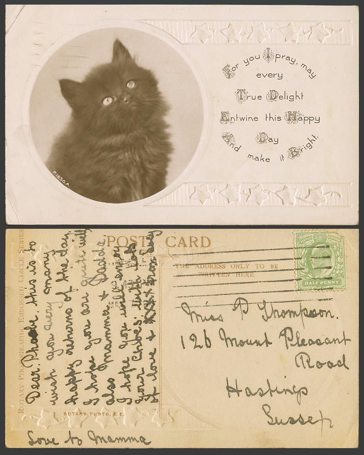 Black Cat Kitten 1907 Old Real Photo Postcard Pray True Delight Bright Happy Day