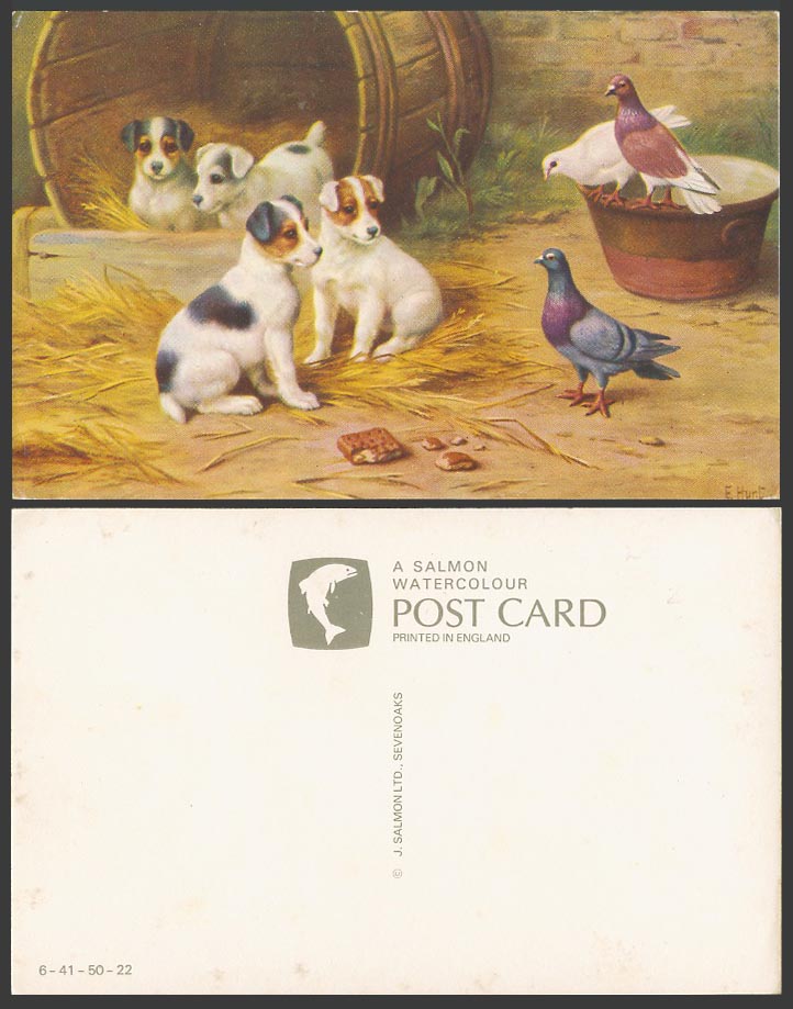 E. Hunt Artist Signed Old Postcard Dog Puppy Dogs Puppies & Pigeon Pigeons Birds