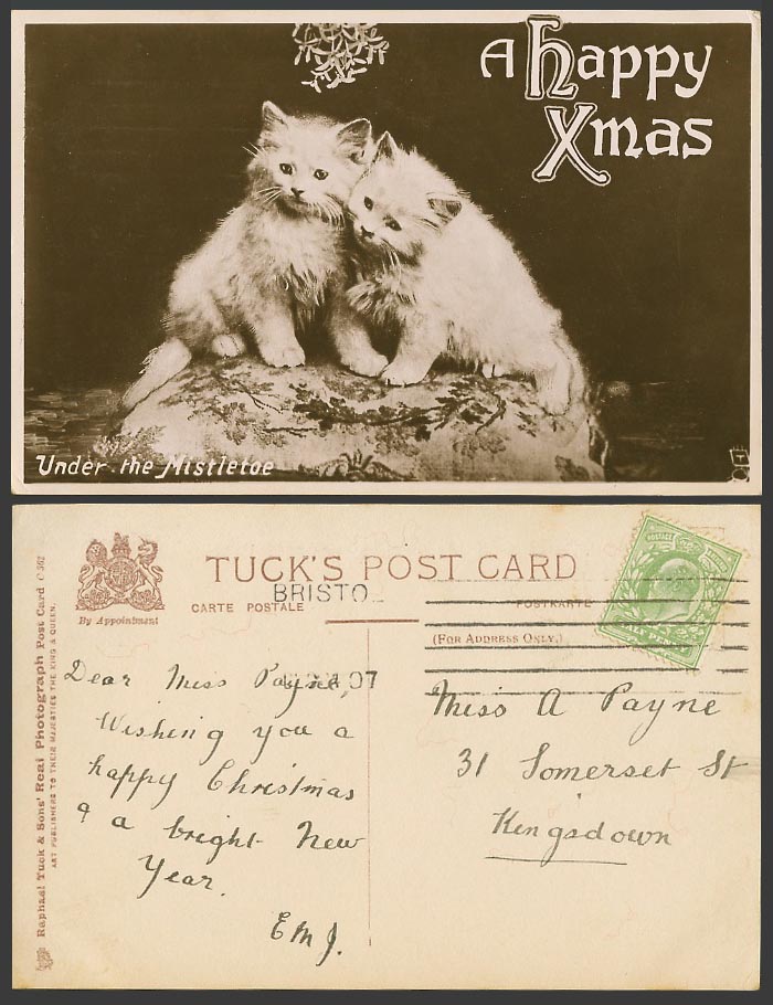Cats Kittens Under The Mistletoe A Happy Xmas Greetings 1907 Old Tuck's Postcard