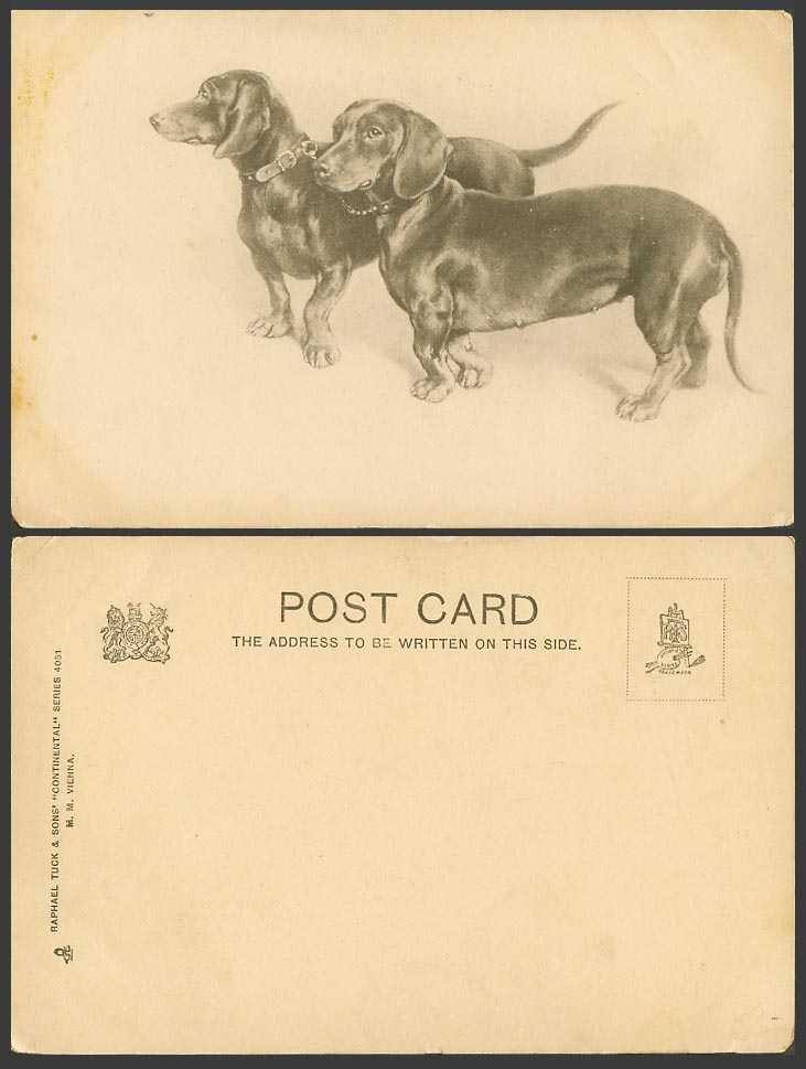 Dachshund German Sausage Dog Puppy Dogs Puppies Artist Drawn Old Tuck's Postcard
