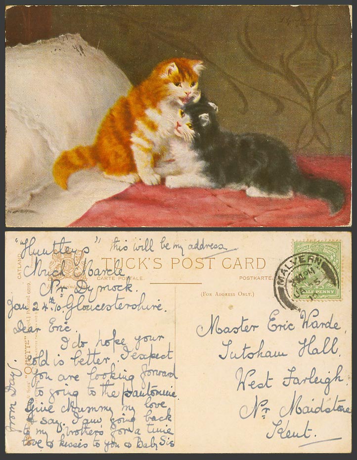 Cats Kittens Pillows Artist Signed 1910 Old Postcard Tuck's Oilette Catland 6819