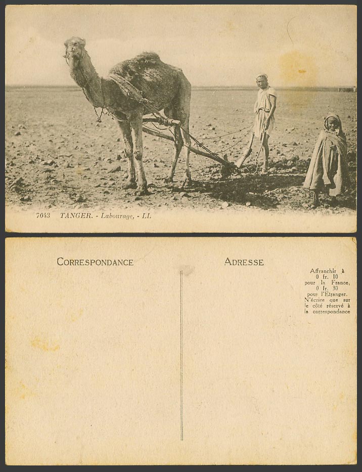 Morocco Old Postcard Tangier Tanger Labourage, Farmer Camel Ploughing Child L.L.