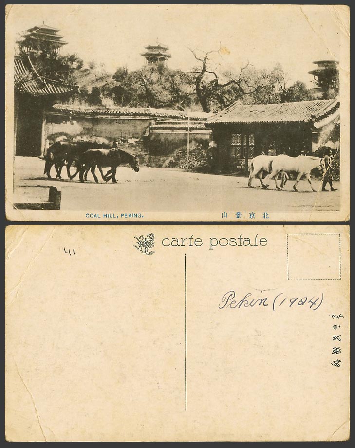 China 1924 Old Postcard Coal Hill Peking Pekin Pagoda Horse Horses Chinaman 北京景山