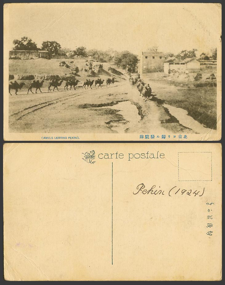 China 1924 Old Postcard Camel Caravan Camels Leaving Peking Pekin Panorama北京歸駱駝隊