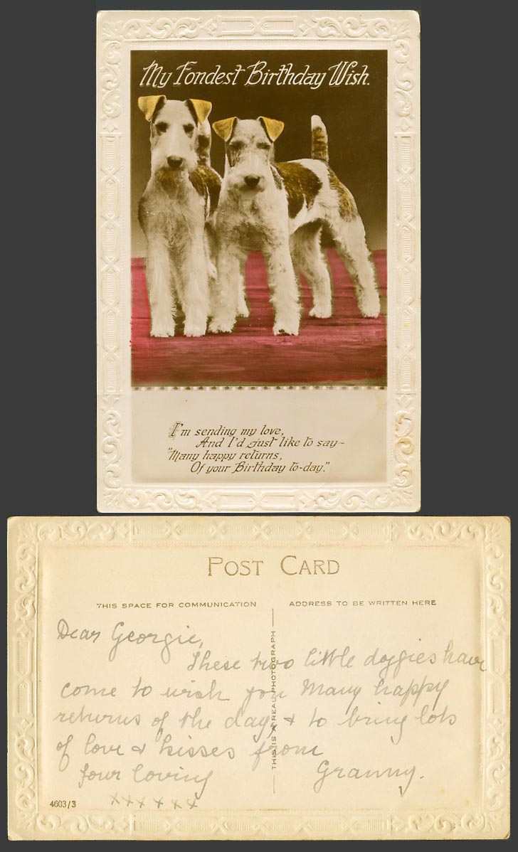 Dogs Puppies, My Fondest Birthday Wish Greetings Old Embossed Postcard Dog Puppy