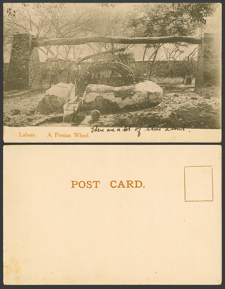 Pakistan LAHORE A Persian Wheel Cattle Bridge Well Old UB Postcard British India