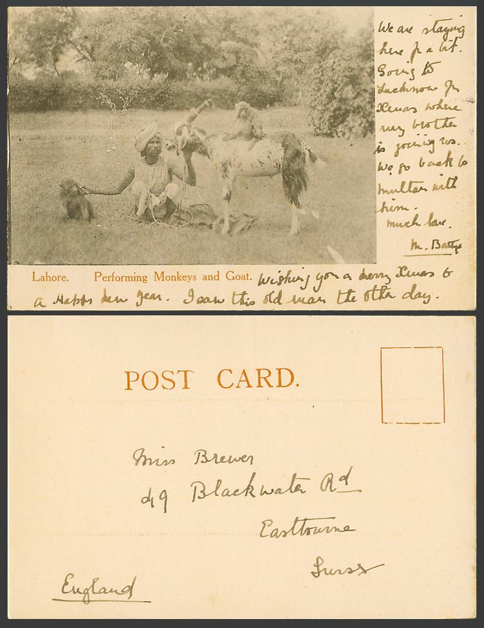 Pakistan India Old UB Postcard Lahore Native Performing Monkeys and Goat Animal