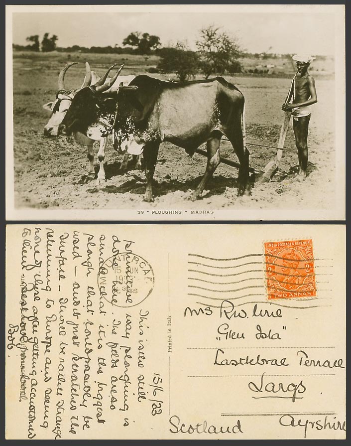 India KG5 2a 1933 Old Real Photo Postcard Madras Ploughing, Farmer & Oxen Cattle