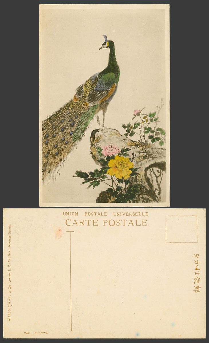 Japan Japanese Art Artist Drawn Old Postcard Beautiful Peacock Bird Rock Flowers