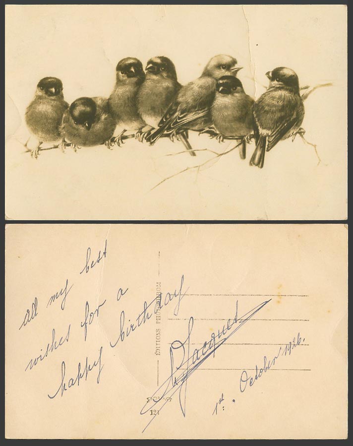 Bird Birds on Twig, Animals Old Real Photo Postcard Editions Photochrom, No. 121