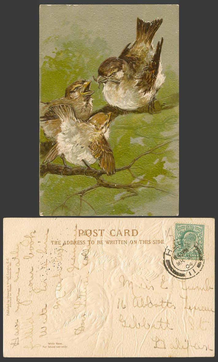Bird feeding Baby Birds Worm Animals Art Artist Drawn 1904 Old Embossed Postcard