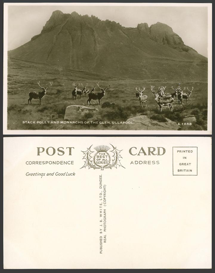 Ullapool Stack Polly and Monarchs of Glen Stag Deer Rock Ross-Shire Old Postcard