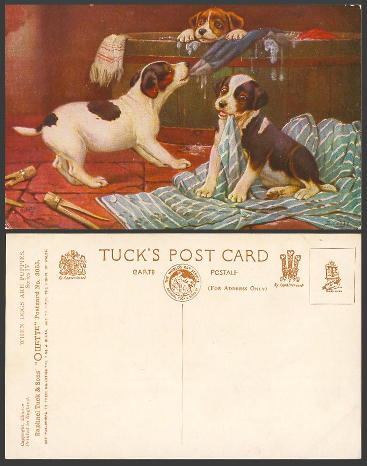 Dog Puppy Wooden Bathtubs Old Postcard When Dogs Are Puppies Tuck's Oilette 3055