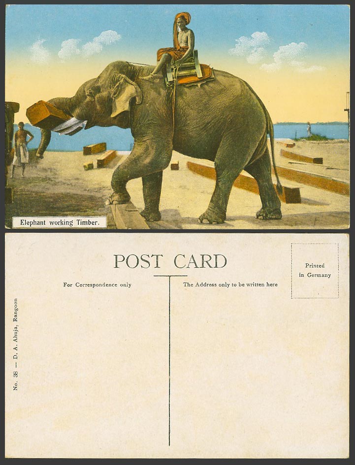 Burma Old Colour Postcard Native Burmese Man on ELEPHANT Working TIMBER, Rangoon