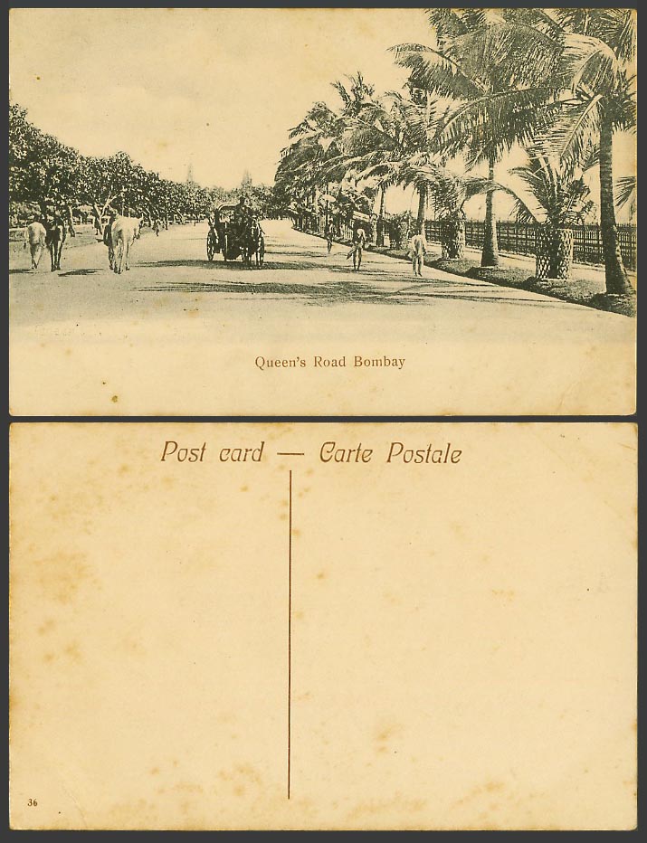 India Old Postcard Queen's Road Street Scene Bombay Palm Trees Horse Cart Animal