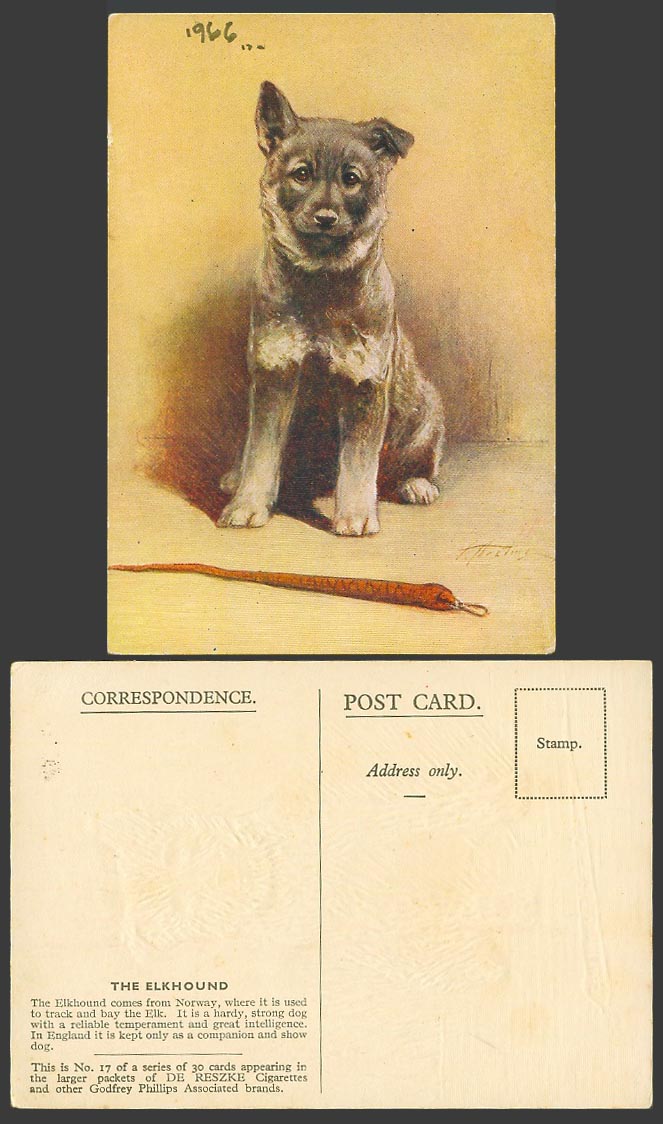 Elkhound Dog Puppy, Norway, F. Aveline 1966 Old Postcard De Reszke Cigarettes 17