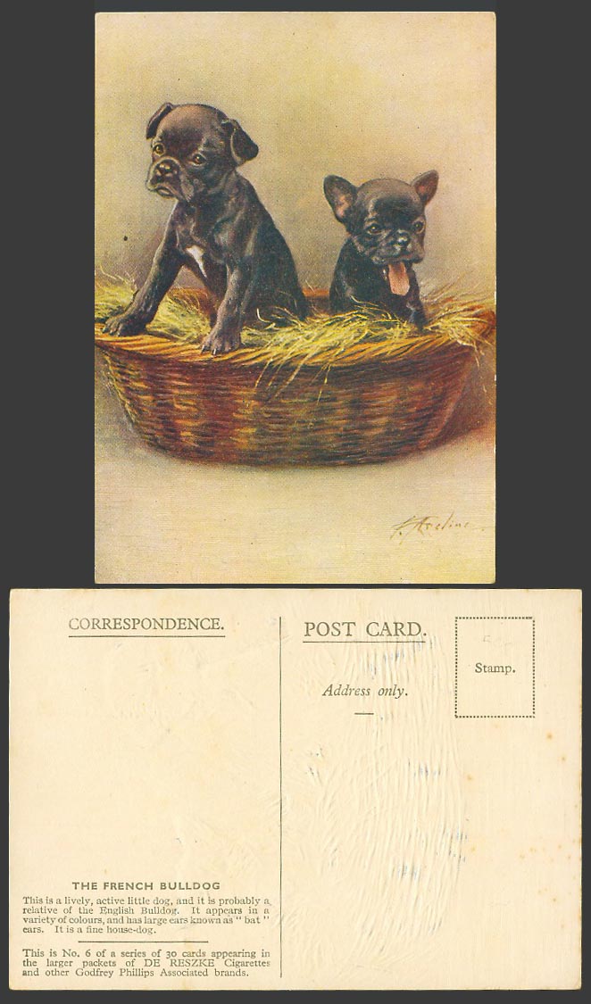 French Bulldog Bull Dog Puppy F. Aveline Old ART Postcard De Reszke Cigarettes 6