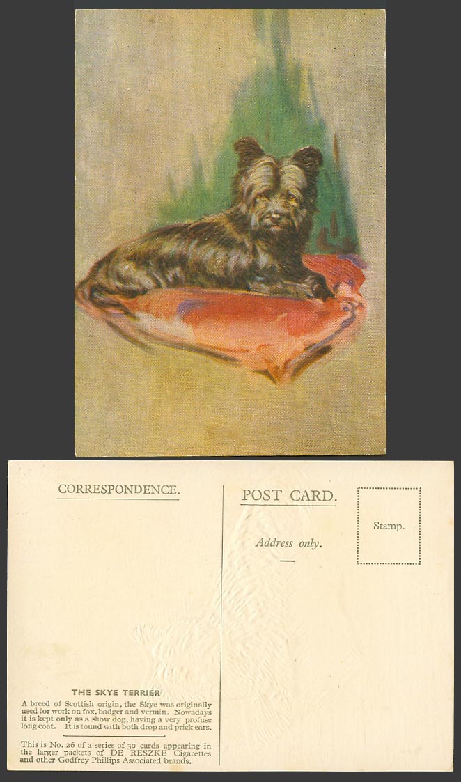 The Skye Terrier Dog Puppy Scottish Show Old Postcard De Reszke Cigarettes No.26