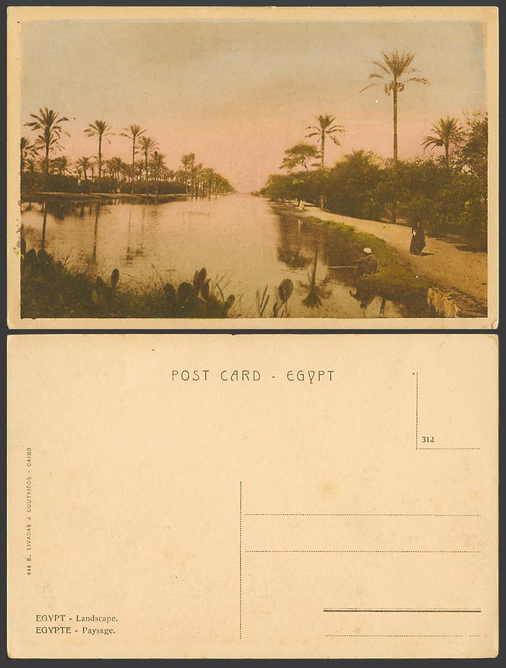 Egypt Old Colour Postcard Landscape, Paysage, River Scene Palm Trees Cacti Woman