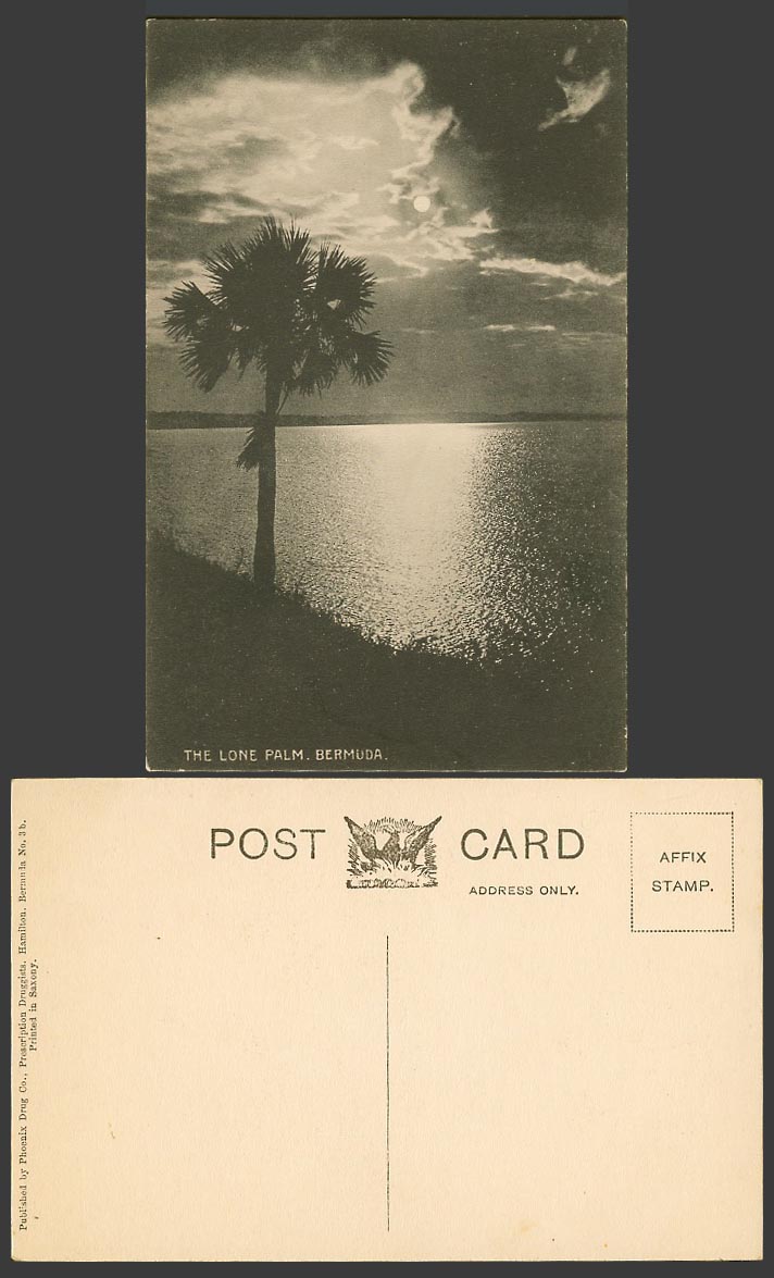 Bermuda Old Postcard The Lone Palm Tree Sea Seaside Panorama Phoenix Drug Co 3b