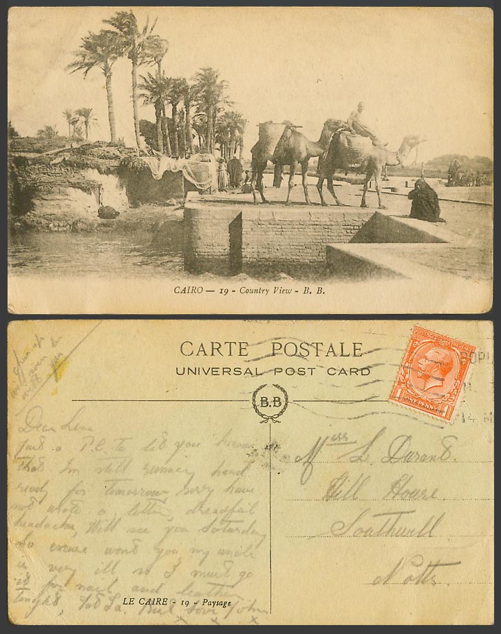 Egypt Old Postcard Cairo Country View Camel Rider Palm Trees Le Caire Paysage BB