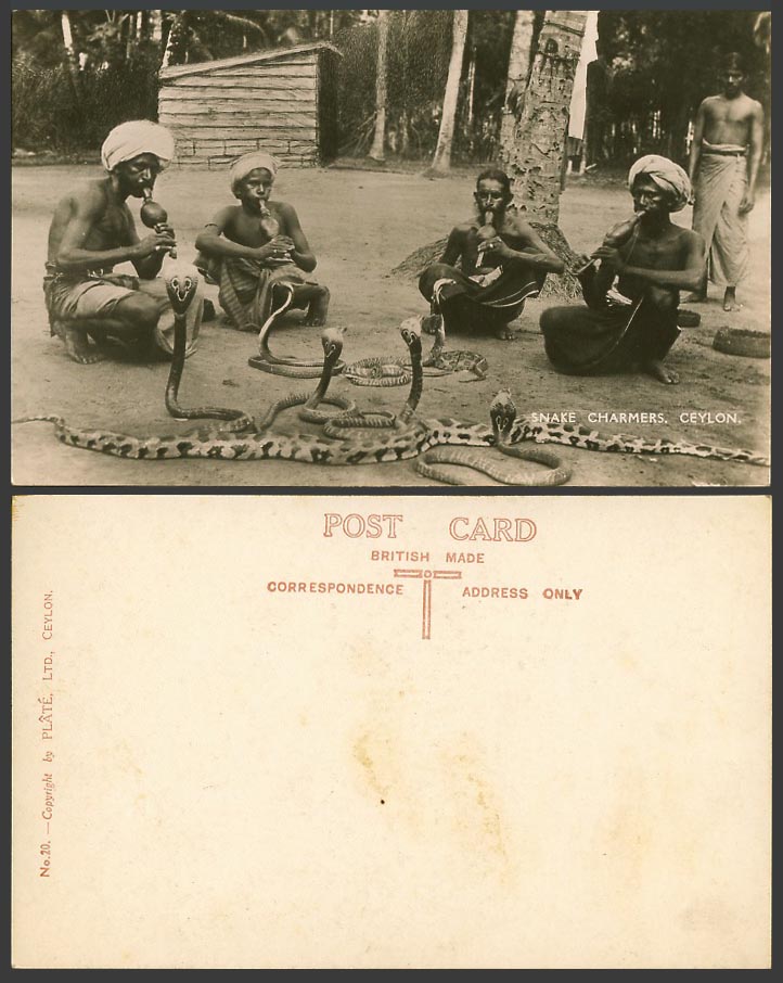Ceylon Old Real Photo Postcard Cobra Snake Charmers Native Jugglers Pungi Flutes