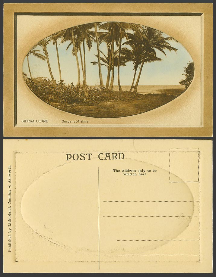 Sierra Leone Old Embossed Postcard Cocoanut Palms Coconut Palm Trees, Litherland