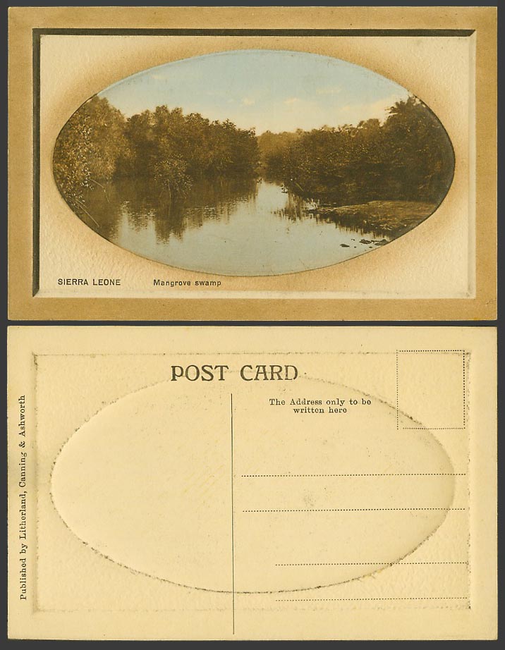 Sierra Leone Old Embossed Postcard Mangrove Swamp and Trees Panorama, Litherland