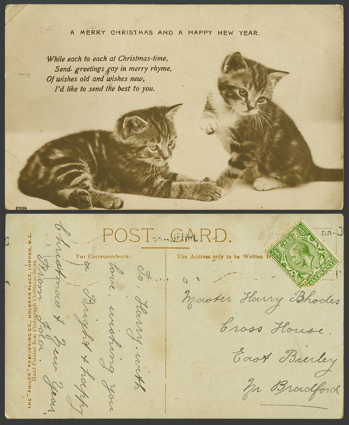 2 Cats Kittens - A Merry Christmas and a Happy New Year Old Postcard Cat kitten