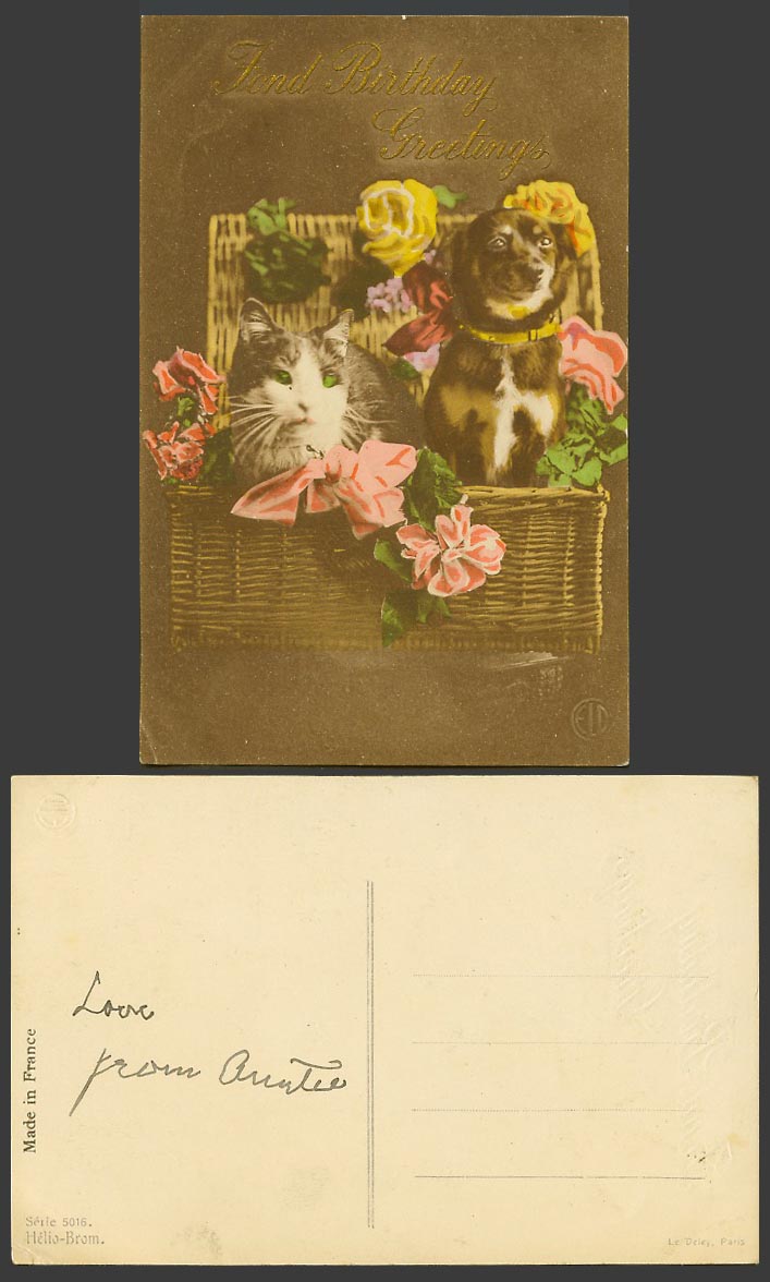 Dog Puppy Cat Kitten Basket Flowers, Fond Birthday Greetings Old Colour Postcard