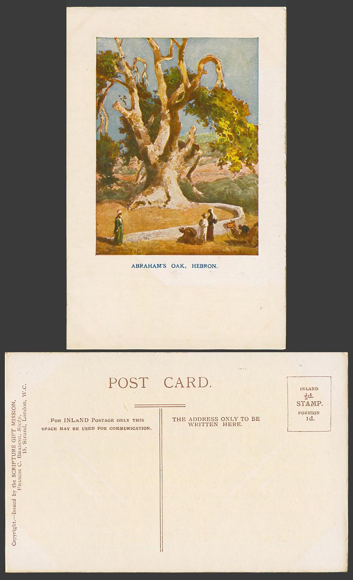 Palestine Old Postcard Abraham Abraham's Oak Hebron Big Tree Henry Andrew Harper